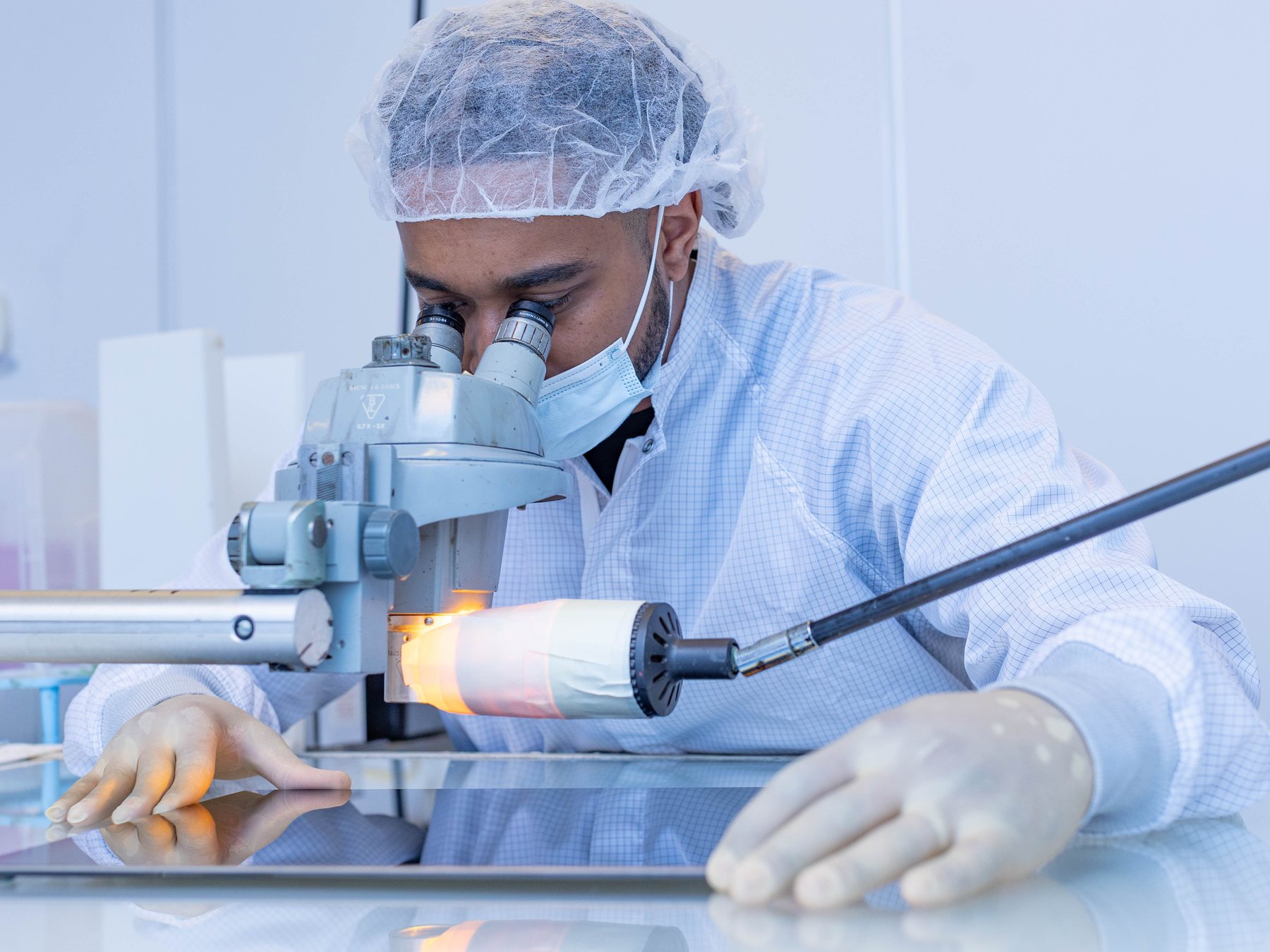 Inspection under the microscope